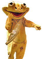 moorfrosch